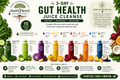3-Day Gut Health Juice Cleanse