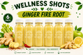 Ginger Fire Root Organic Wellness Shot | 6-2oz Shots